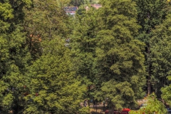 260524122233-Joschi-R10