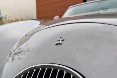IMG_26791080
