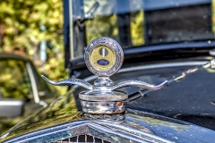 260927135319IMG_8314