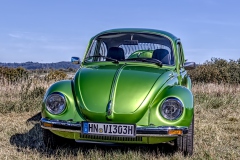 260927135954IMG_8323