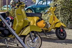 260927152041IMG_8444