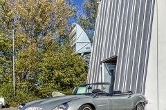260927164212IMG_8530