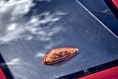 260905134838IMG_4191