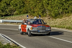 260906174202IMG_6300