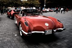 IMG_21311080