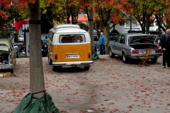 IMG_36731080