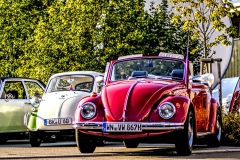 260729190433IMG_2813
