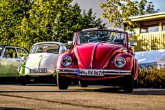260729190444IMG_2814