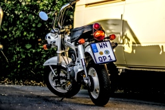 260729195457IMG_2851