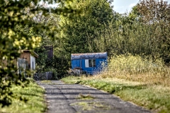 260826181259IMG_4009
