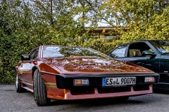 260826195014IMG_4034