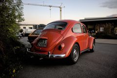 IMG_24821080