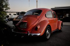 IMG_24831080