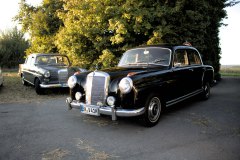 IMG_25211080