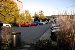IMG_25341080