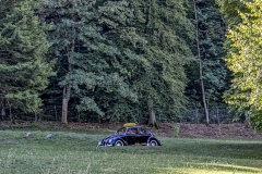 260912105858IMG_7382