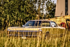 260722202722IMG_2757
