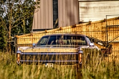 260722202748IMG_2758