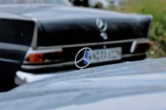 IMG_17481080