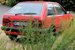 IMG_17701080