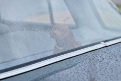 IMG_18481080