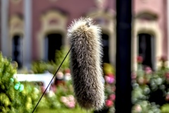 260704144112IMG_2041