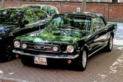 IMG_13531080