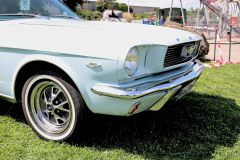 IMG_16381080