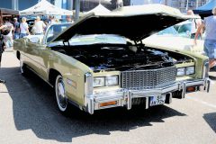 IMG_16431080