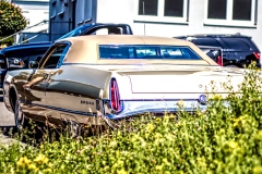 260607154421IMG_9739